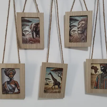 Asis Jerez de la Frontera